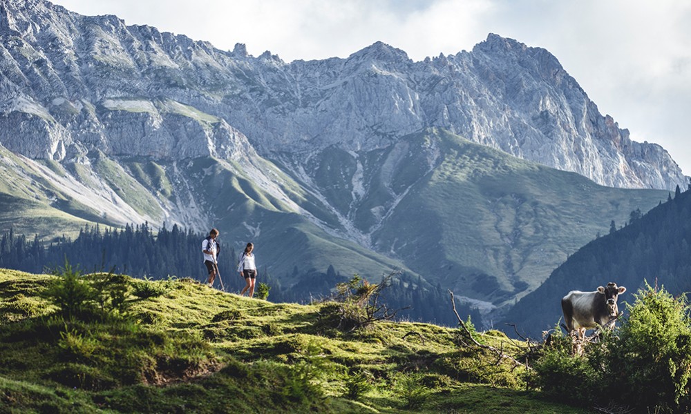 Wanderer in den Tiroler Bergen