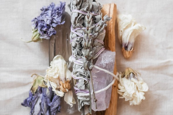 dried violet flowers